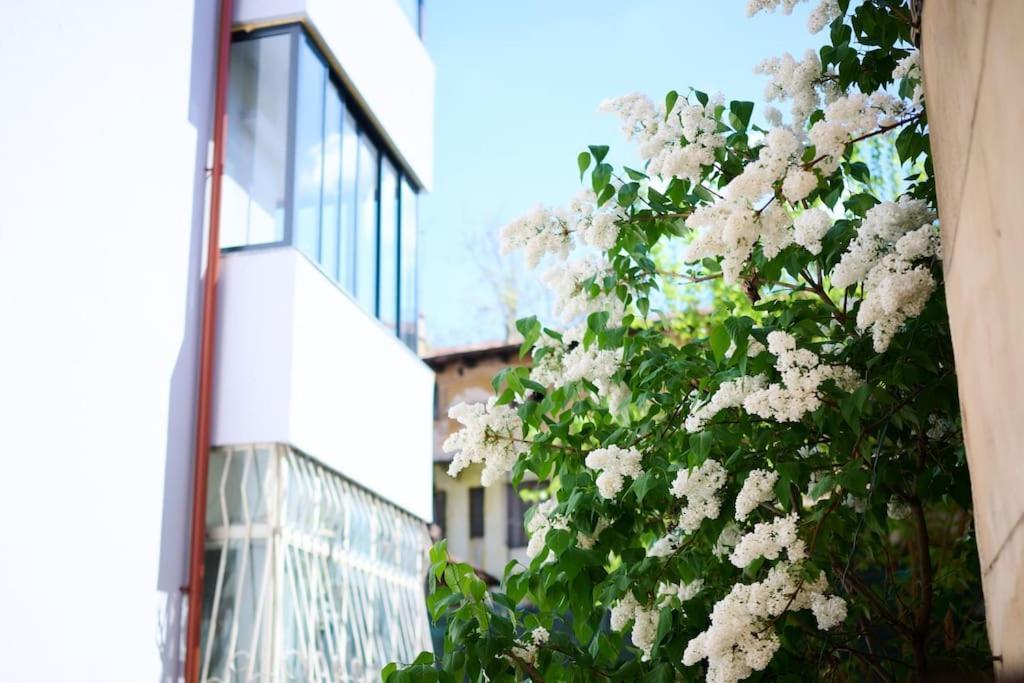 Central Old Town Oasis - Ap 6 Bukarest Exterior foto